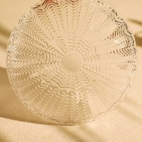 Assiette à fruits en verre transparent de haute qualité, écologique, à motif végétal, pour les fêtes ou les bars