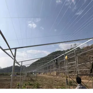 Vineyard And Breeding PET Plastic Steel Greenhouse Curtain And Film Holding Polyester Wire