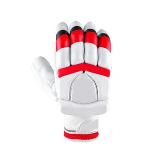 Gants de frappe de cricket pour hommes de qualité professionnelle, design personnalisé, cuir écologique, fermeture à boucle, légers - Product Image 4