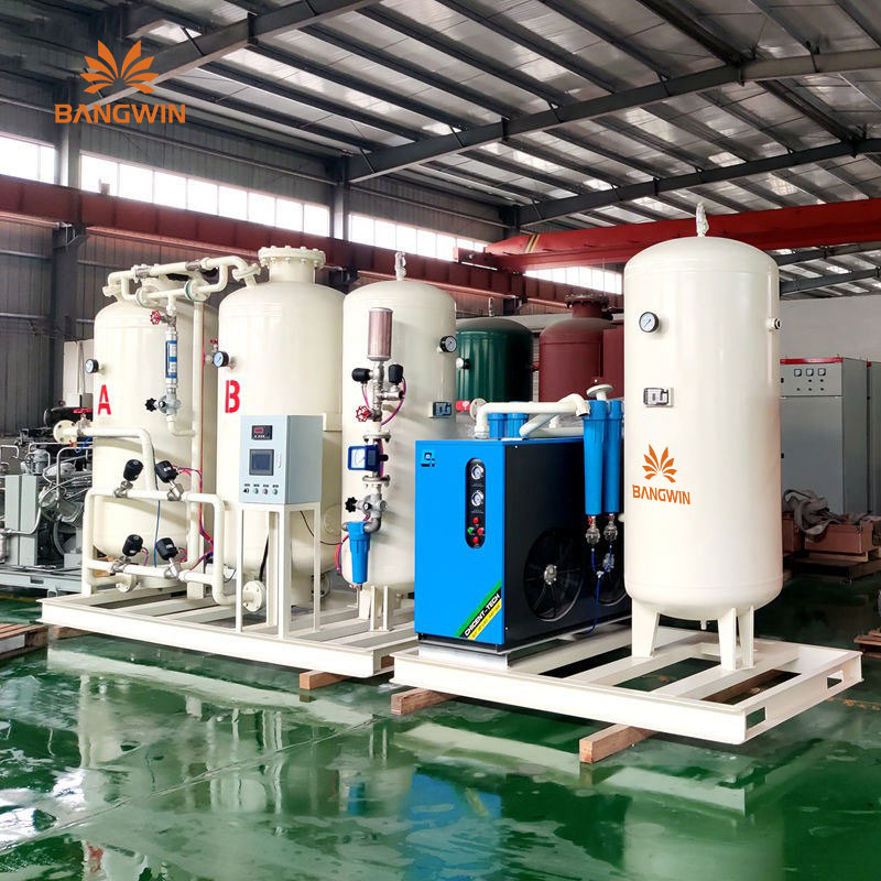 BW Oil-Free Technology VPSA Oxygen Generator 60 with 1-Year Spare Parts 220V Oxygen Generator