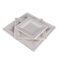 Assiette en bagasse de canne à sucre 100% compostable, écologique, biodégradable, assiette carrée en bagasse, récipient alimentaire, assiettes carrées pour les fêtes