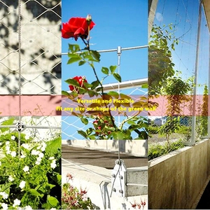Longue durée de vie <span class=keywords><strong>France</strong></span> 1.5 Mm 120*120 Mm Ss Treillis métallique pour l'escalade des plantes de jardin - Product Image 6