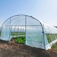 Nouvelle Arrivée Grande Serre Agricole Moderne à Structure Tunnel Monocouche pour Cultivateurs