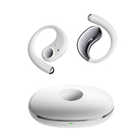 Écouteurs Traducteurs IA en Temps Réel True Wireless Bluetooth pour Langues