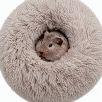 Lit pour animaux de compagnie sans assemblage, housse amovible et lavable, design coussin donut, lit doux en peluche pour chat et chien, pour chambre à coucher, utilisation en intérieur