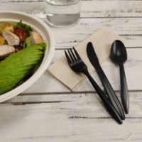 Kit de couverts en plastique de fécule de maïs compostable en gros cuillère biodégradable couteau fourchette pour les fêtes
