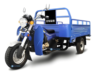 Tricycle à essence 3 roues pour moto à essence lourde, tricycle adulte à grandes roues, tricycle Tuk Tuk, châssis de tricycle avec Wago