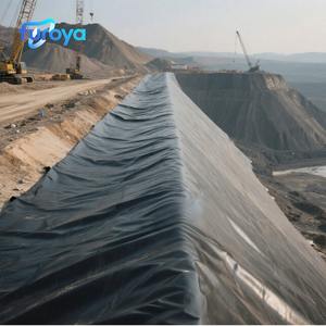 Геомембрана из ПНД для гидроизоляции прудов для рыбы и креветок, аквакультуры, водоемов и полигонов ТБО - Product Image 1