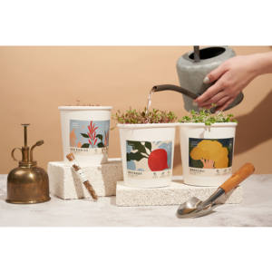 Kit complet de culture de légumes micro-verts, ensemble de cadeaux de jardinage pour femmes - Product Image 2