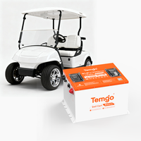 Baterai Lithium Golf Cart TEMGO 48V 100Ah 5.12kWh 200A BMS dengan Bluetooth APP LCD Display, Daya Tahan Lama 5000+ Siklus