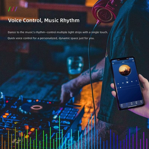 Fornitore di Strisce LED RGB Intelligenti con Controllo Tuya, Funzione Assistente Vocale e Supporto per Ordini all'Ingrosso - Product Image 4