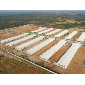 ฟาร์มสัตว์ปีกไข่ไก่แบบอัตโนมัติขั้นสูงราคาประหยัด - Product Image 5