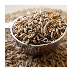 Semillas de Comino Crudas Secas de Alta Calidad al por Mayor, Especias Secas de Comino, Se Proporciona Muestra - Product Image 5