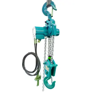 Customized 125kg-100Ton Explosion-Proof Pneumatic Air Chain Hoist 5Ton For Well Mining Or Smelter