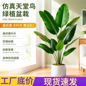 Planta Artificial Ave del Paraíso de 60 cm, Decoración de Interiores, Palmera de Viajero en Maceta, Adorno para el Hogar - Product Image 3