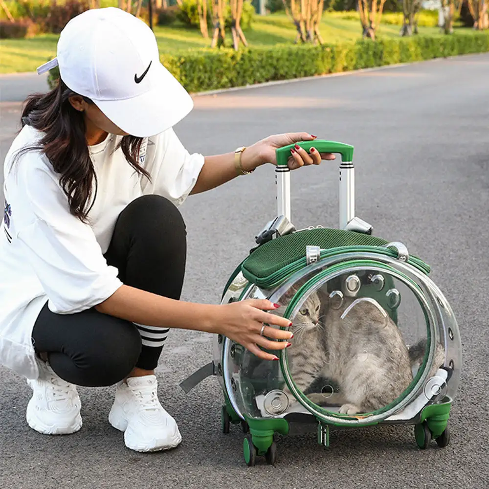 Mochila transparente portátil respirável para transporte de animais de estimação, bolsa de viagem com rodas para cães e gatos