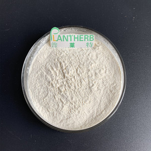 Ilk-MINO, Cid - Product Image 2