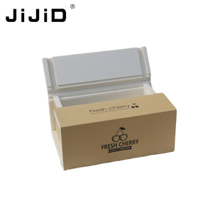 JiJiD Wholesale Styrofoam Cooler Box For Shipping Perishables Products