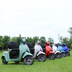 Tricycle électrique 60V, autonomie 50 km, moteurs double moyeu, carrosserie ouverte avec auvent de pluie pour adultes - Product Image 3