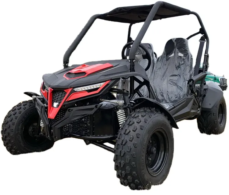 Otantik yeni Trailmaster çita 200E EFI yetişkin Go-Kart Buggy 168cc motor tam yetişkin boyutu buggy stokta