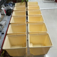 Serres agricoles multi-chapelles ZEWO, système de culture hydroponique en seaux hollandais, irrigation goutte à goutte, gouttières en PVC/PP, filet