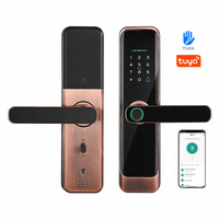 Poignée de porte électronique intelligente avec carte à puce, contrôle à distance sans fil, serrure interne de sécurité électrique pour la maison