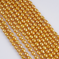 Perles d'eau douce naturelles de forme riz, couleur or, 6-7 mm, 8-9 mm, pour la fabrication de bijoux