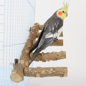 Fábrica al por mayor loro Natural espinoso Fresno escalera de madera pájaro accesorios de juguete loro escalera soporte de madera pájaro <span class=keywords><strong>Parro</strong></span> Juguetes - Product Image 5