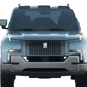 Kamyon dökümü kamyon yakıt tankı Battery pil-kutusu prim Byd hvs martı Seagull SUV 5 koltuklar araç yeni enerji arabalar elektrikli araba