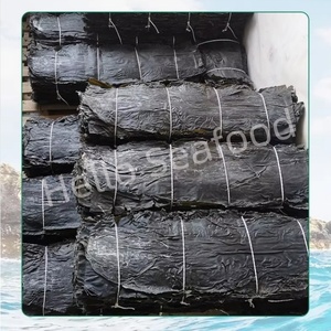 Fujian Xiapu แผ่นสาหร่ายทะเลแห้งเกรดอาหารผ่านกรรมวิธีคุณภาพที่สม่ำเสมอ - Product Image 4