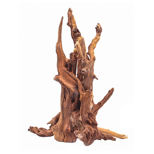 Ornamenti Naturali per <span class=keywords><strong>Acquario</strong></span> in Legno di Teak - Legno di Teak Lucidato per <span class=keywords><strong>Acquario</strong></span> in Vendita - Product Image 1