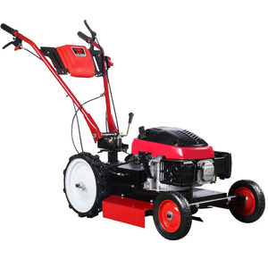 Tondeuse à gazon à essence Zong Shen 9Hp 100Cc, moteur quatre temps, 10 hauteurs de coupe pour l'entretien des pelouses. - Product Image 1