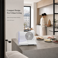Fabricant de trancheuses électriques pliables 150W pour cuisines compactes et projets d'appareils électroménagers OEM