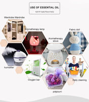 Vente en gros d'huiles essentielles hydrosolubles 3 ml * 36 pièces pour humidificateur, diffuseur d'arômes, parfum naturel, air frais, utilisation à domicile et en hôtel