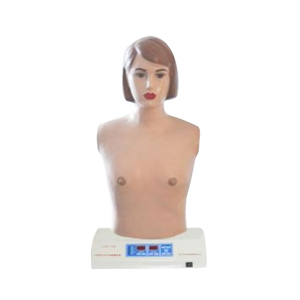 Thiết bị giảng dạy y tế điều dưỡng manikin điện tử di động tim phổi auscultation đào tạo y tế giả lập - Product Image 1