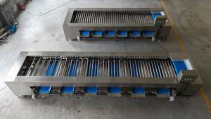 <span class=keywords><strong>KH</strong></span> KHLH-GG Automatische Sortier- und Klassifizierungsmaschine für Mango, Blaubeeren, Tomaten, Gemüse, Datteln und Nüsse - Umweltfreundlich für Gewerbliche Nutzung - Product Image 5