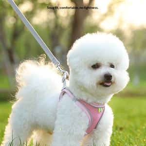 Articoli per Cani Più Venduti: Nuova Pettorina Riflettente e Traspirante con Guinzaglio per Cani di Taglia Piccola e Media per Uso Esterno - Product Image 4