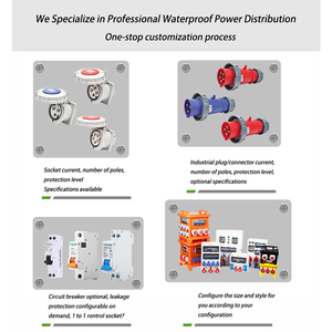 Boîtier de distribution électrique industriel SFE personnalisable, étanche IP54, triphasé, en PC ABS, 36 voies, 16A 32A - Product Image 3