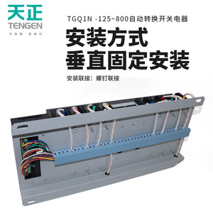 Interruptor de Transferencia Automática Tengen Tgq1n 4P Trifásico 250A Ip40 Para Uso Industrial - Product Image 5