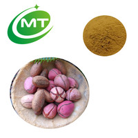 Extrait de noix de kola 10:1 naturel pour les boissons