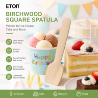 Spatule carrée miniature en bois de bouleau 70mm 95mm, pelle à glace jetable en bois, cuillère à dessert biodégradable pour dégustation, ustensiles