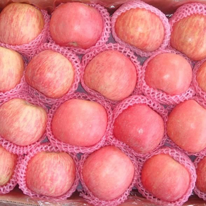 Хороший фермер, оптовая продажа, оптовая продажа, фрукты яблока, поставщик свежего яблока в Европе