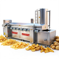 Industriële continue friteuse voor gefrituurde snacks, fabriek met grote capaciteit, friteuse project op sleutelklaar basis, 1000kg/u