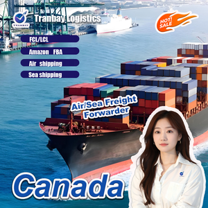 Servizio di Consegna Porta a Porta Amazon FBA via Aerea/Marittima, Spedizioniere Internazionale dalla Cina agli Stati Uniti - Product Image 3