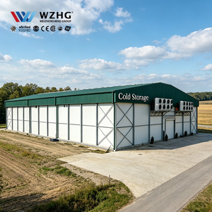 Solution d'ingénierie de structure en acier Q355b haute efficacité pour bâtiments logistiques de la chaîne du froid sans colonnes Global Trader - Product Image 1