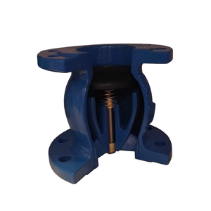 OEM Precio Bajo Flange Foot Pn16 GGG50 Foot PN2.5 SS304 Mesh Foot - Product Image 1