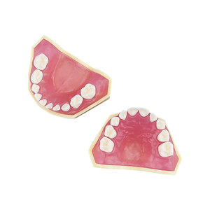 Modèle de pratique d'extraction dentaire pour la formation en dentisterie pédiatrique, modèle anatomique en résine amovible, modèle standard - Product Image 2