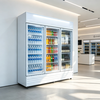 Vitrine Réfrigérée Commerciale pour Boissons (Cola) avec Éclairage LED, Étagères Réglables, Sans Givre et Contrôle par Application pour Magasin