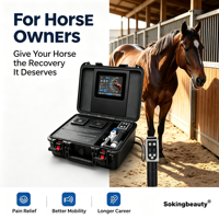 Appareil portable à ondes de choc électromagnétiques pour la thérapie équine, avec design en forme de valise, pour cliniques vétérinaires et écuries