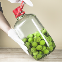 Bocaux en verre épais haut de gamme avec poignées pour la conservation des spiritueux, bouteilles à vin spéciales, récipients scellés, personnalisables